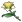 Квест "Унесенные цветы Флоры" в Геншин импакт: как получить и выполнить задание
